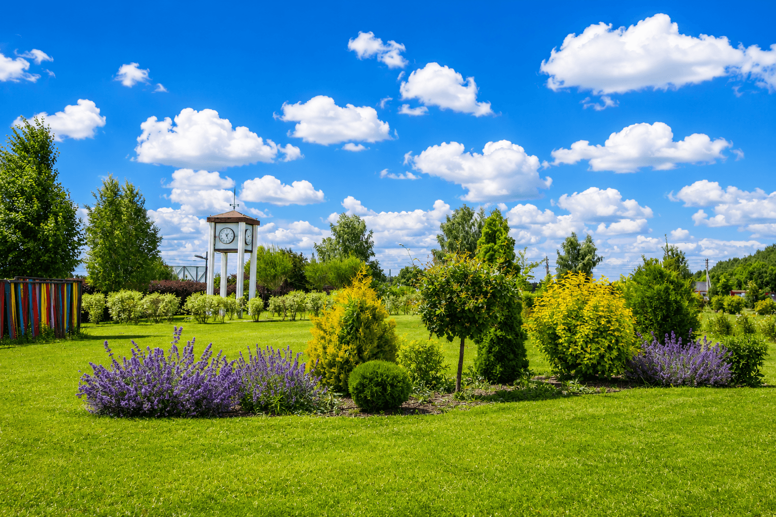 Park area