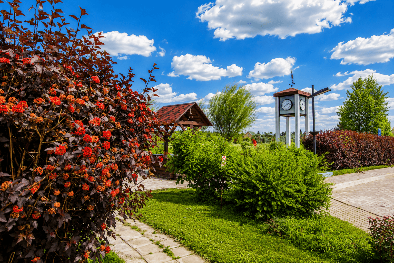 Park area