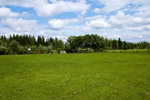 Plots под IZHS и ЛПХ в чем разница