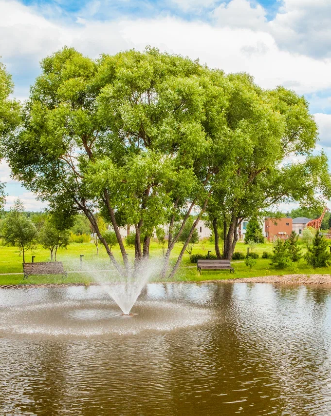 A private pond in the park